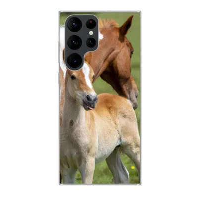 Produktbild von MuchoWow® Handyhülle Schutzhülle Hülle für Samsung Galaxy S22 Ultra Pferde - Fohlen - Gras Silikon Softcase Handy Hülle - Abbildung