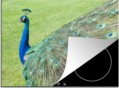 Produktbild von KitchenYeah© Herdabdeckplatte Pfau - Vogelmuster , 71x52cm, Küche Deko, Glaskeramikkochfeld Herdabdeckung, Abdeckplatte fùr Kochfeld