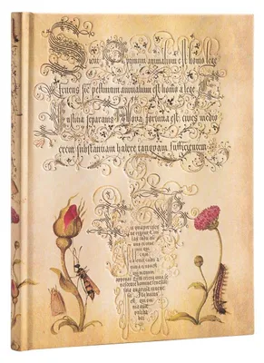 Produktbild von Paperblanks PB8124-1, Abbildung, Gelb, 144 Blätter, 120 g/m², Liniertes Papier, Hardcover
