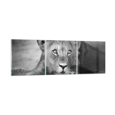 Produktbild von Bilder auf glas - 3 Teile - Löwe asiatisch Porträt - 120x40cm - Glasbilder - Wandbilder - Bilder - zum Aufhängen bereit - Wanddekoration aus Glas - Glas Bilder - Wandbild auf Glas - GCA120x40-4840