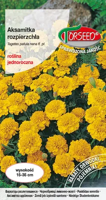 Zdjęcie produktu dla Nasiona aksamitka rozpierzchła niska żółta 1g - Torseed