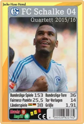 Produktbild von Quartett Kartenspiel von FC Schalke 04 Bundesliga Saison 2015/2016 Spiel
