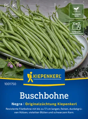 Artikelbild 2 von 'Buschbohne Negra' aus der Kategorie Buschbohnensamen