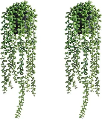 Zdjęcie produktu dla Zestaw roślin do wnętrz składający się z 2 sztucznych roślin w doniczkach; sztuczne rośliny z serii „String of Pearl” i sukulentów; sztuczny bluszcz do salonu, biura, na stół lub półkę
