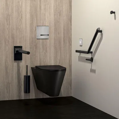 Productafbeelding van Delabie toiletpapierhouder, wandmontage, Be-Line, mat zwart