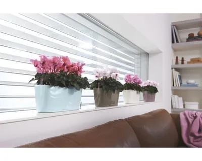 Obrázok produktu pre Hrantík Delta 30 x 11 cm taupe