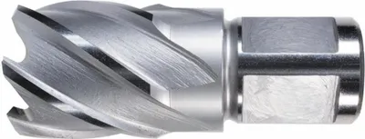 Produktbild von Alfra Kernbohrer HSS blank 12/30mm