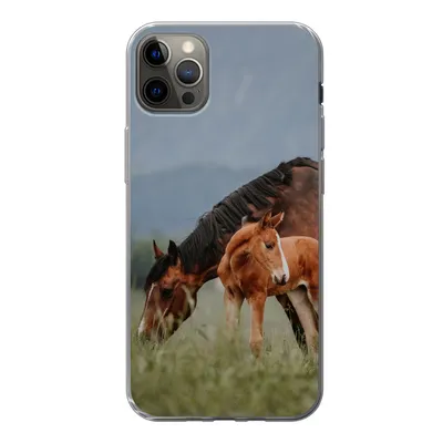 Produktbild von MuchoWow® Handyhülle Schutzhülle Hülle für iPhone 13 Pro Max Pferde - Fohlen - Natur Silikon Softcase Handy Hülle - Mobiltelefon