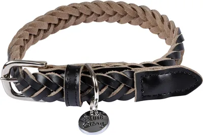 Image de Collier pour chien en cuir tressé noir