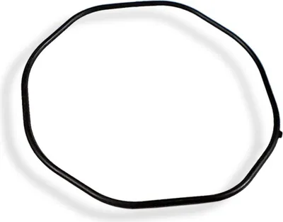 Produktbild von Casio G-Shock Packing O-Ring Dichtungsring für Herrenuhr G-5600