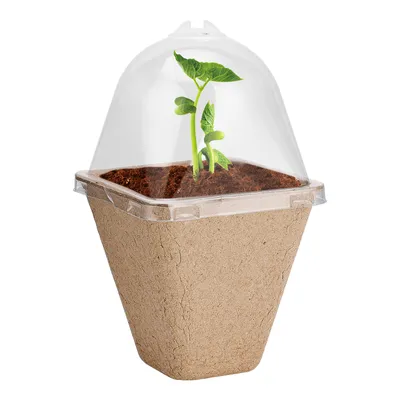 Imagen del producto de Macetas biodegradables, macetas para plantas, macetas para plántulas, macetas para plantas con cubierta de humedad, macetas de transición para plantas