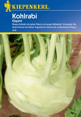 Produktbild von [STREICHUNG 2025] Kohlrabi Gigant | Kohlrabisamen von Kiepenkerl