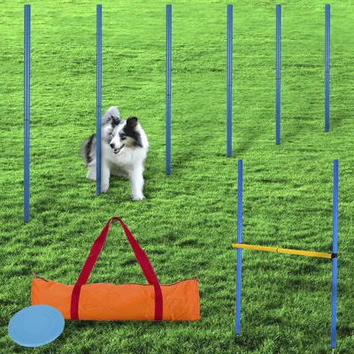 Produktbild von Famanu Agility Set 3-in-1 - Vielseitige Trainingsmöglichkeiten für Hunde