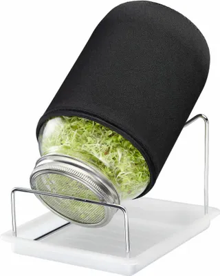 Immagine prodotto di Westmark Sprossenglas-Set, 1 Glas, 2000 ml, 66652260