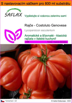 Obrázek produktu pro SAFLAX Garden in the bag - Rajče - Costoluto Genovese - Lycopersicon esculentum - 10 Semena - S pěstebním substrátem v praktickém samovztyčovacím sáčku