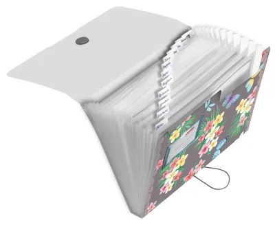 Obrázok produktu pre Herlitz Fächermappe PP 12F Ladylike Butrfl.