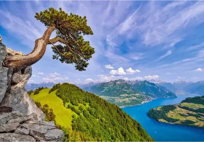 Produktbild von Castorland Puzzle Lake of Uri Schweiz - 1000 Teile Puzzle