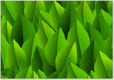 Produktbild von Tulup® Leinwandbild - 100x70 cm - Wandkunst - Drucke auf Leinwand - Leinwanddruck  - Kunst: modern & klassisch - Grün - Grüne Blätter