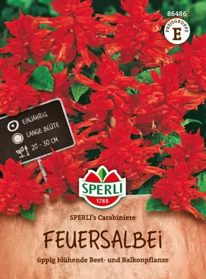 Produktbild von SPERLI Feuersalbei Samen Carabiniere Salvia splendens 60 Pflanzen