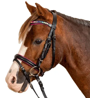 Produktbild von Waldhausen Trensenzaum Star Pinky Trense Schwarz Pony