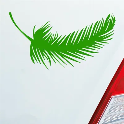 Produktbild von Auto Aufkleber Feder Federn Tuning Deko Vintage 10x5,5 cm Hellgrün Sticker Heckscheibenaufkleber