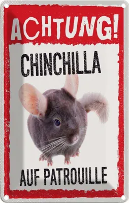 Produktbild von vianmo Blechschild 18x12 cm Achtung Chinchilla auf Patrouille Warnschild Hinweisschild Tier Haustier Sicherheit Vorsicht