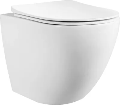 Produktbild von Primaster Wand WC spülrandlos Iota Tiefspüler weiß erhöht inkl. WC-Sitz