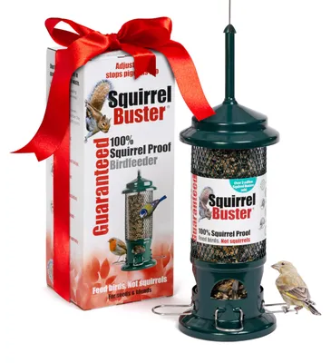 Vogelvoederstation eichhörnchensicher 750 ml grün hängend
