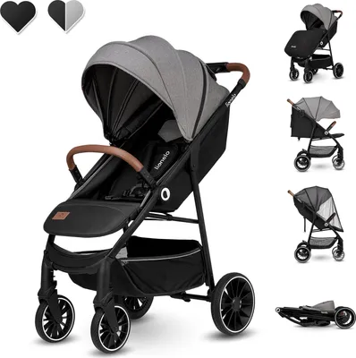 Obrázek produktu pro Lionelo Alexia kocárek mit liegeposition Buggy Detský sportovní kocárek Grau