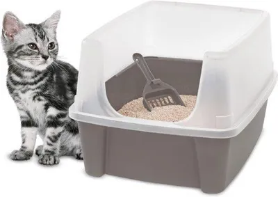 Image de Litière automatique pour chat robotisée