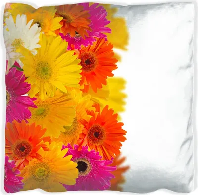 Produktbild von Wallario Premium Kissen, weiche Oberfläche, mit Motiv Bunte Gerberas - pinke, gelbe, rote und weiße Blüten, Größe: 40 x 40 cm, mit weißer Rückseite