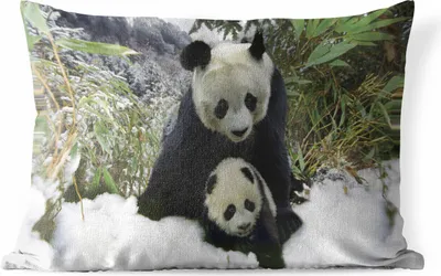 Produktbild von MuchoWow® Outdoor Kissen - Panda - Jungtier - Schnee - 50x30 cm - Wetterfest - Lounge Kissen - Sofa kissen - Wohnzimmer Dekoration