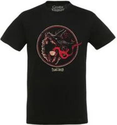 Produktbild von Game of Thrones: House of the Dragon - Fire - T-Shirt