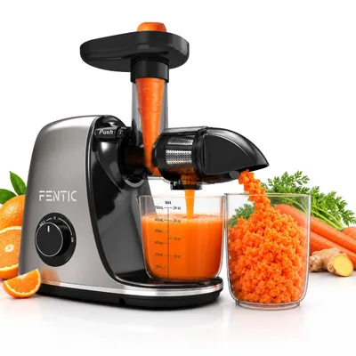 Zdjęcie produktu dla Fentic Wyciskarka do Owoców i Warzyw – Elektryczny Slow Juicer – Pozioma Wyciskarka z Funkcją Wstecznego Biegu – Cichy i Wydajny Silnik