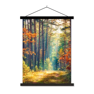 Produktbild von MuchoWow® Textilposter Wald - Sonne - Natur - Herbst 90x120 cm mit schwarzem Rahmen - Dekoration