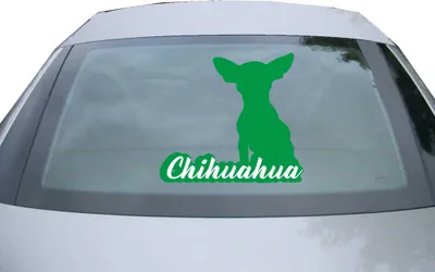 Produktbild von Indigos UG - Aufkleber Heckscheibe & Motorklappe DE7116 - grün - 600x545 mm - Chihuahua mit Name Techichi - Auto Scheiben Fenster Heckklappe Tuning Racing JDM - Die cut