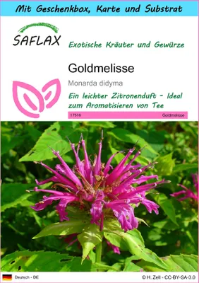 Produktbild von SAFLAX Geschenk Set - Goldmelisse - Monarda didyma - 20 Samen - Mit Geschenkbox, Versandaufkleber, Geschenkkarte und Anzuchtsubstrat
