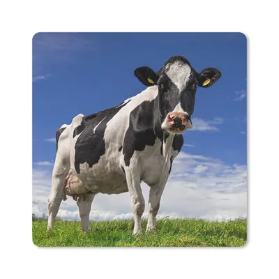 Produktbild von MuchoWow® Mauspad Mousepad Kuh - Gras - Blau - Tiere 30x30 cm - Mousepads - Maus Mat - Pad - Mausunterlage - Gaming