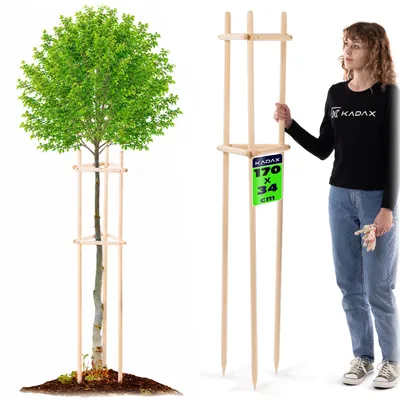 Produktbild von KADAX Baumstütze 170 cm aus robustem Holz, Baumpfahl zur sicheren Fixierung junger Bäume & Sträucher, dreibeinige Pflanzenstütze aus Buchenholz für Garten (Natur)