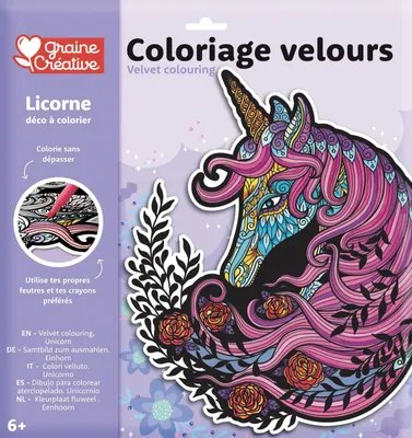 Imagen del producto de Graine Creative: Kit de pintura para tela con diseño de unicornio, 30x30 cm - juguete creativo