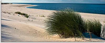 Produktbild von ARTland Glasbild Gras am Strand Größe: 125x50 cm