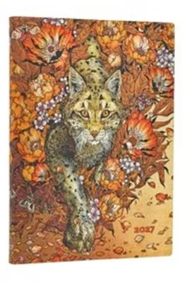 Produktbild von 12-Monatskalender 2027 Aufsteigender Luchs Midi Horizontal