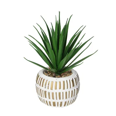 Obrázok produktu pre Dekorácia Aloe v kvetináči 13 cm