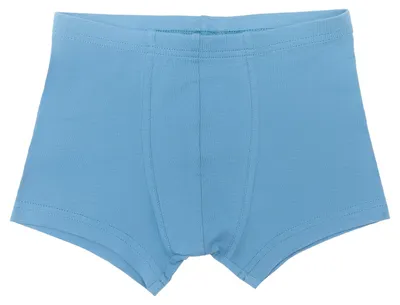 Produktbild von Bio-Baumwoll-Jungen Retroshorts