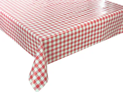 Obrázek produktu pro Ubrus na stůl omyvatelný Voděodolný zahradní ubrus Červená mřížka na radiátor Florista 01345-01 100x140 cm