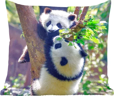 Produktbild von MuchoWow® Zierkissen Sofakissen Wohnzimmer Dekokissen 45x45 cm Pandas - Baum - Natur - Schlafpolster - Polster für das Sofa