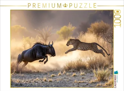 Produktbild von CALVENDO Puzzle Ein Verteidigungskampf | 1000 Teile Lege-Größe 64x48cm Foto-Puzzle für glückliche Stunden