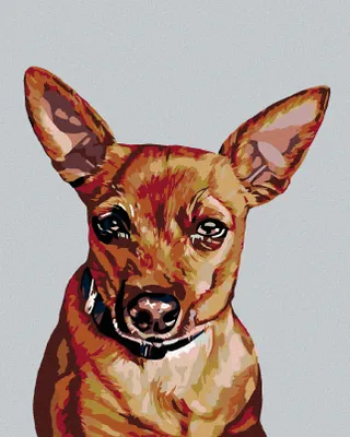 Produktbild von Zuty - Malen nach Zahlen - ZWERGPINSCHER, 40x50 cm, mit Keilrahmen (bereits gespannt)