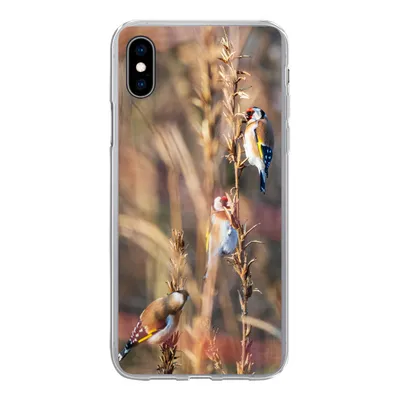 Produktbild von MuchoWow® Handyhülle Schutzhülle Hülle für iPhone Xs Vögel - Äste - Wald Silikon Softcase Handy Hülle - Handytasche