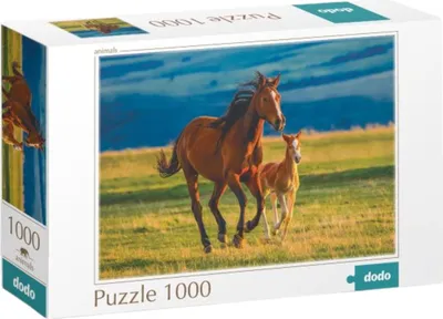 Produktbild von Footlight-Puzzle 1000 Teile Zum Zusammensetzen, Schönes Bild Eines Pferdes Und Eines Footley